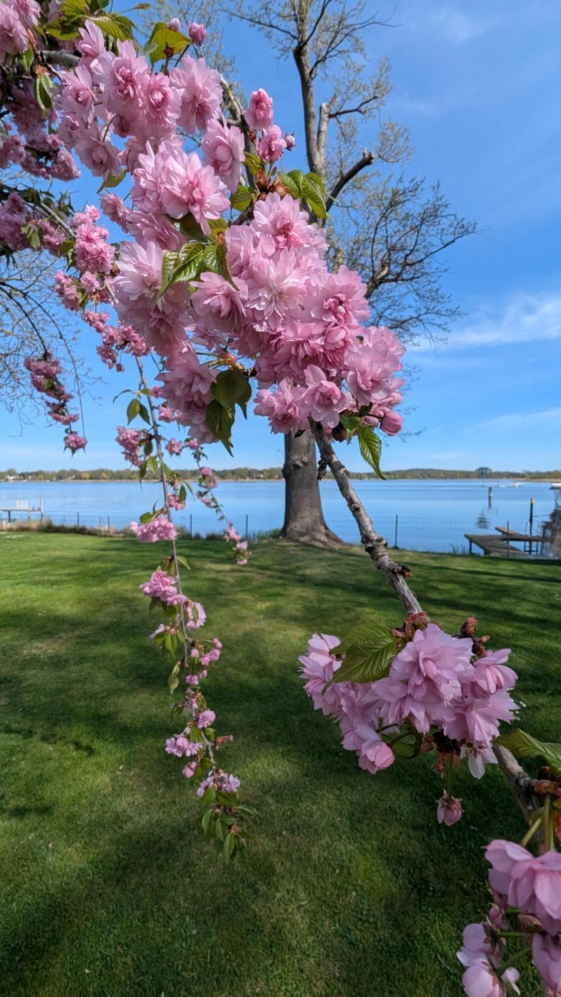 Casa Sul Lago Werder  Exteriör bild